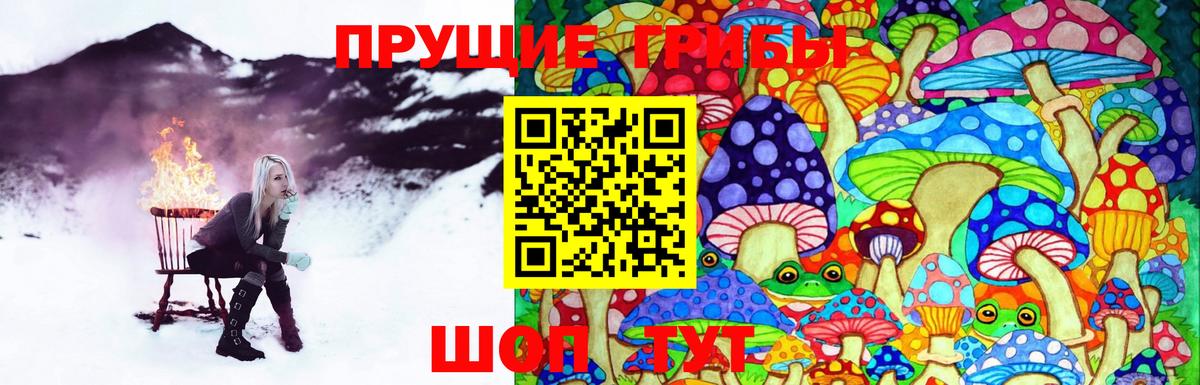 Псилоцибиновые грибы прущие грибы  Псилоцибиновые грибы Psilocybine cubensis  Вход с VPN  Нижний Тагил 